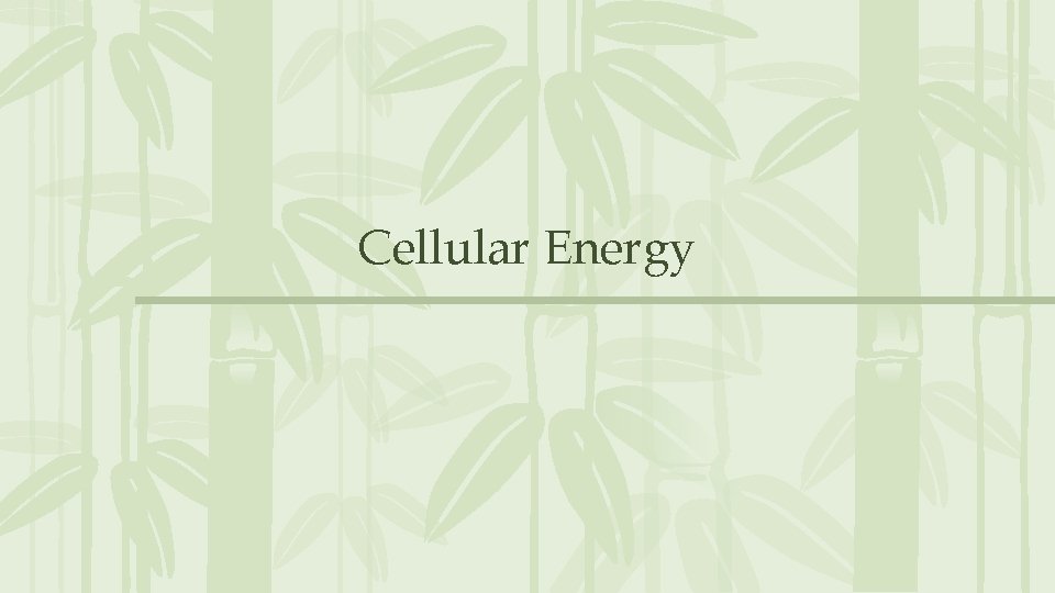 Cellular Energy Cellular Energy