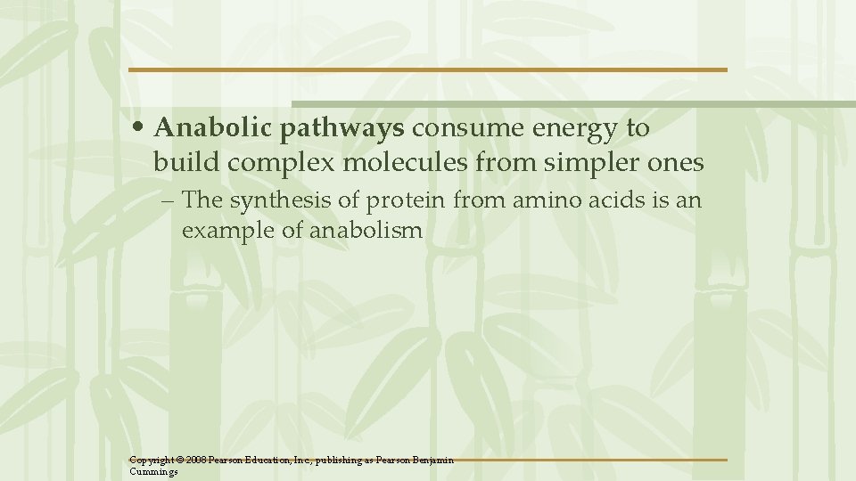 • Anabolic pathways consume energy to build complex molecules from simpler ones – • Anabolic pathways consume energy to build complex molecules from simpler ones –