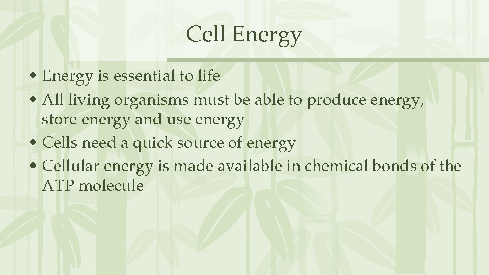 Cell Energy • Energy is essential to life • All living organisms must be Cell Energy • Energy is essential to life • All living organisms must be