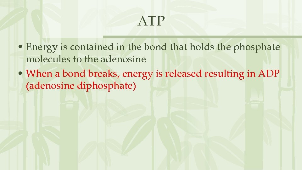 ATP • Energy is contained in the bond that holds the phosphate molecules to ATP • Energy is contained in the bond that holds the phosphate molecules to