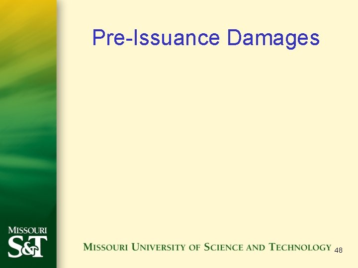Pre-Issuance Damages 48 