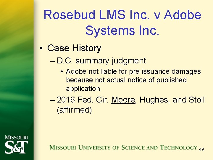 Rosebud LMS Inc. v Adobe Systems Inc. • Case History – D. C. summary