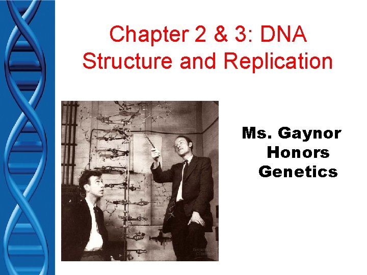 Chapter 2 & 3: DNA Structure and Replication Ms. Gaynor Honors Genetics 