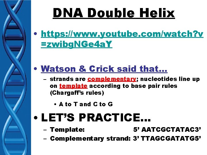 DNA Double Helix • https: //www. youtube. com/watch? v =zwibg. NGe 4 a. Y