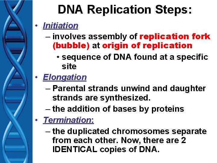 DNA Replication Steps: • Initiation – involves assembly of replication fork (bubble) at origin