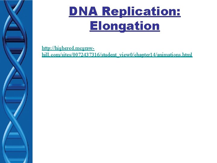DNA Replication: Elongation http: //highered. mcgrawhill. com/sites/0072437316/student_view 0/chapter 14/animations. html 