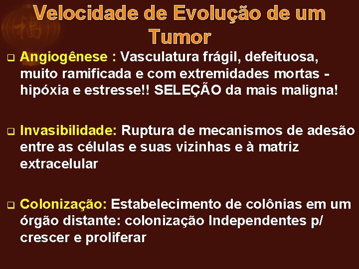 Velocidade de Evolução de um Tumor q Angiogênese : Vasculatura frágil, defeituosa, muito ramificada