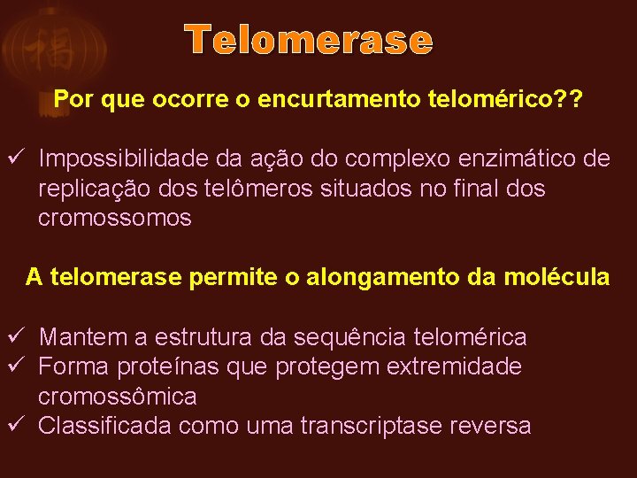 Telomerase Por que ocorre o encurtamento telomérico? ? ü Impossibilidade da ação do complexo