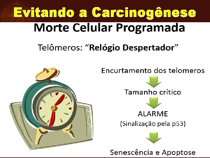 Evitando a Carcinogênese 