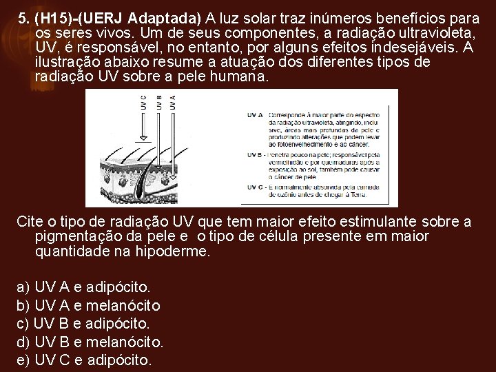 5. (H 15)-(UERJ Adaptada) A luz solar traz inúmeros benefícios para os seres vivos.