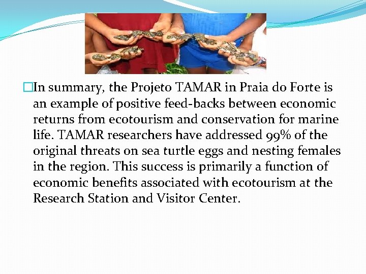 �In summary, the Projeto TAMAR in Praia do Forte is an example of positive