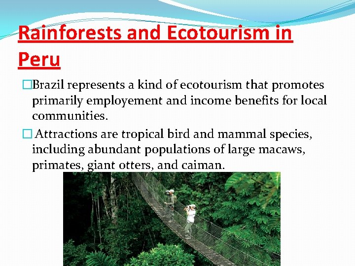 Rainforests and Ecotourism in Peru �Brazil represents a kind of ecotourism that promotes primarily