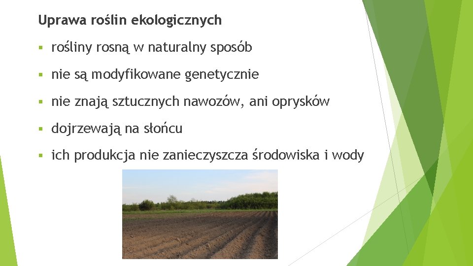 Uprawa roślin ekologicznych § rośliny rosną w naturalny sposób § nie są modyfikowane genetycznie