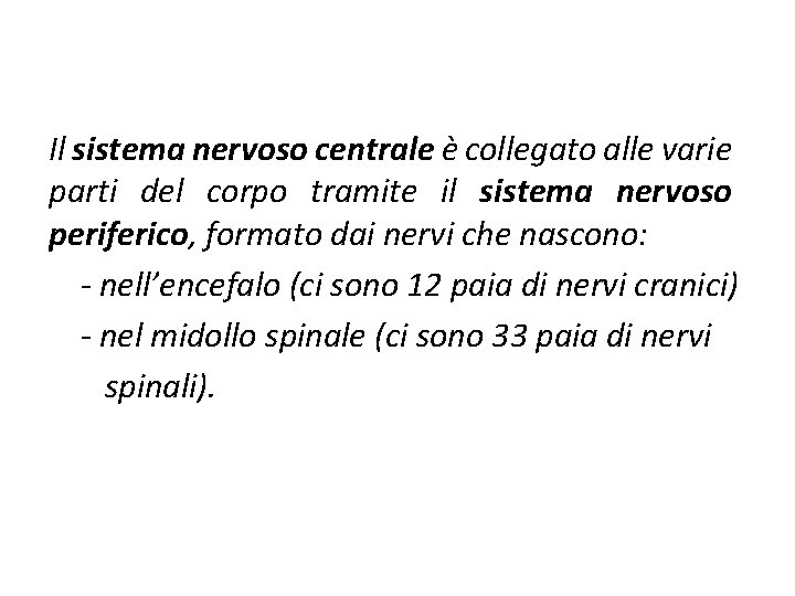 Il sistema nervoso centrale è collegato alle varie parti del corpo tramite il sistema