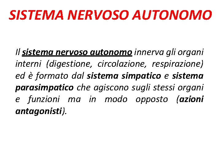 SISTEMA NERVOSO AUTONOMO Il sistema nervoso autonomo innerva gli organi interni (digestione, circolazione, respirazione)