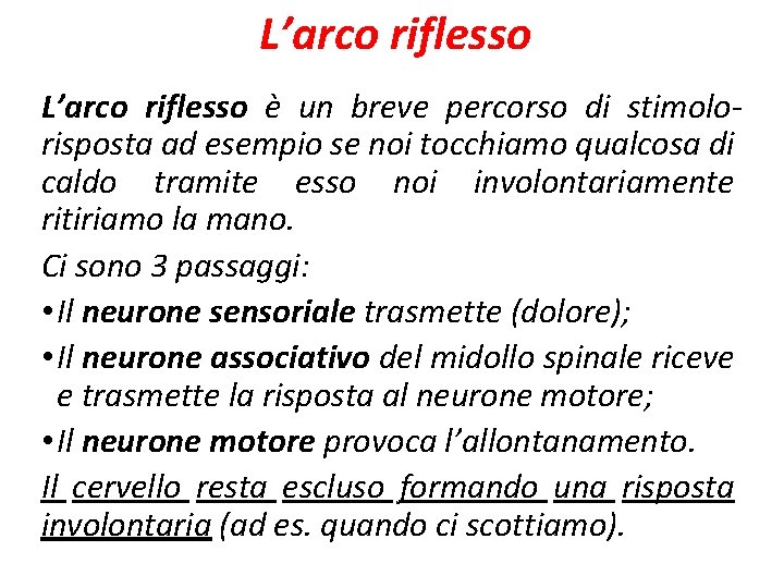 L’arco riflesso è un breve percorso di stimolorisposta ad esempio se noi tocchiamo qualcosa