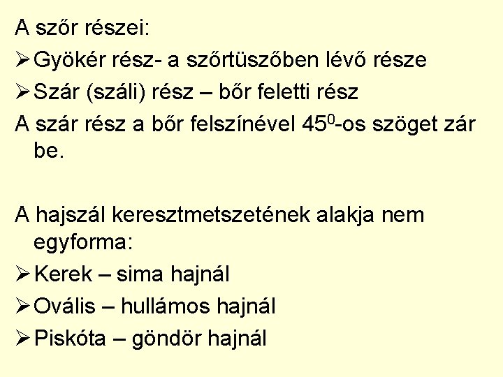 A szőr részei: Ø Gyökér rész- a szőrtüszőben lévő része Ø Szár (száli) rész