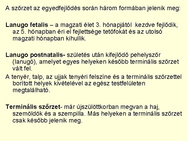 A szőrzet az egyedfejlődés során három formában jelenik meg: Lanugo fetalis – a magzati