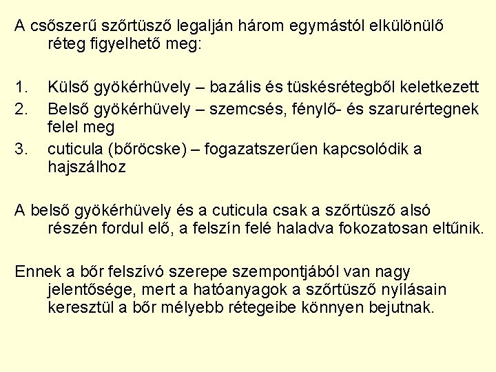 A csőszerű szőrtüsző legalján három egymástól elkülönülő réteg figyelhető meg: 1. 2. 3. Külső