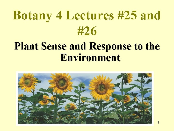 Botany 4 Lectures #25 and #26 Plant Sense and Response to the Environment 1