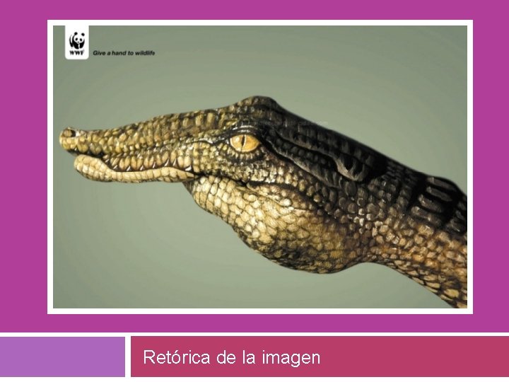 RETÓRICA DE LA IMAGEN Retórica de la imagen 