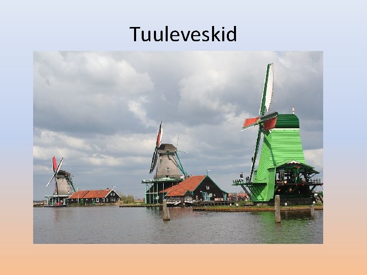 Tuuleveskid 