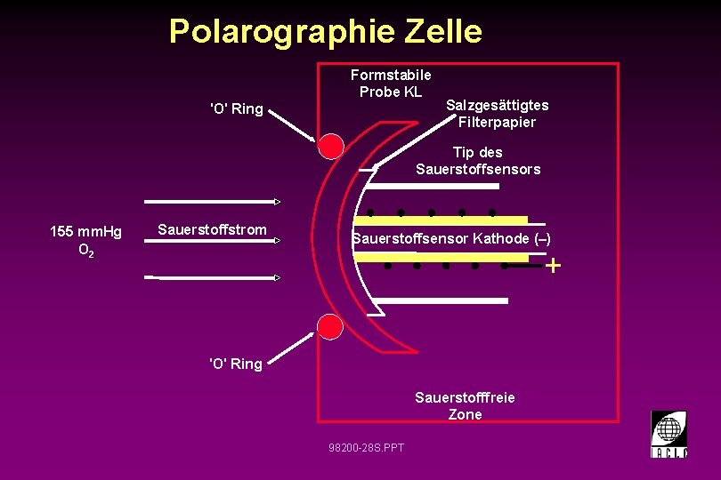 Polarographie Zelle Formstabile Probe KL 'O' Ring Salzgesättigtes Filterpapier Tip des Sauerstoffsensors 155 mm.