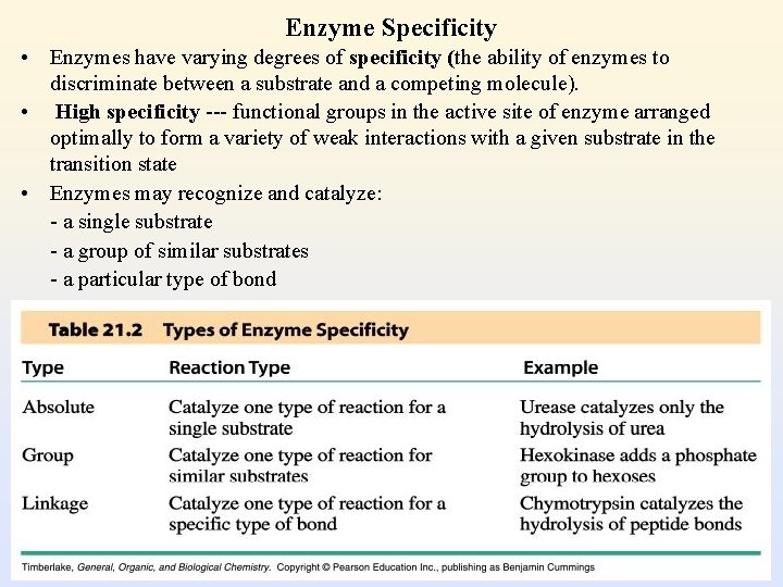 Enzyme Specificity • Enzymes have varying degrees of specificity (the ability of enzymes to