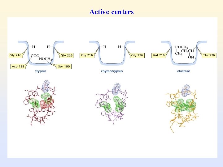 Active centers 