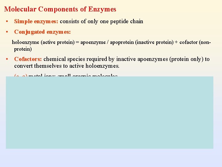 Molecular Components of Enzymes • Simple enzymes: consists of only one peptide chain •