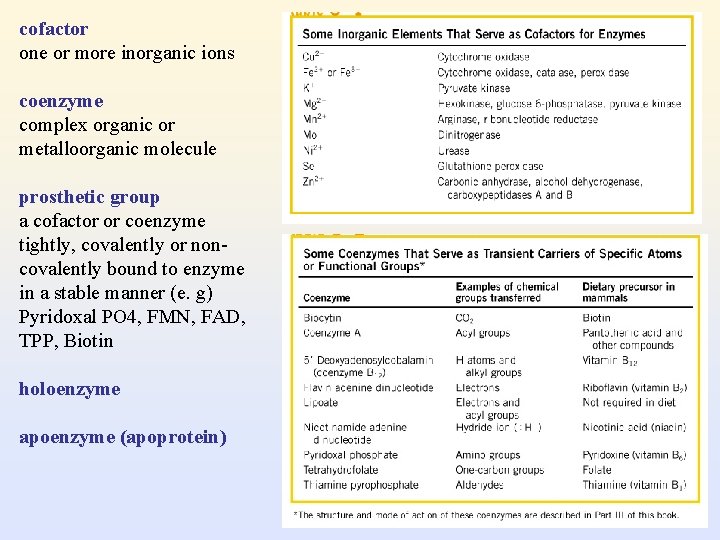 cofactor one or more inorganic ions coenzyme complex organic or metalloorganic molecule prosthetic group