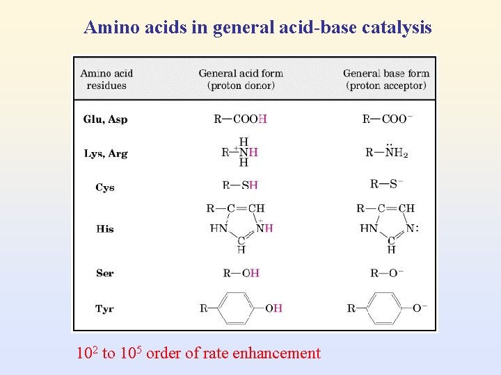 Amino acids in general acid-base catalysis 102 to 105 order of rate enhancement 