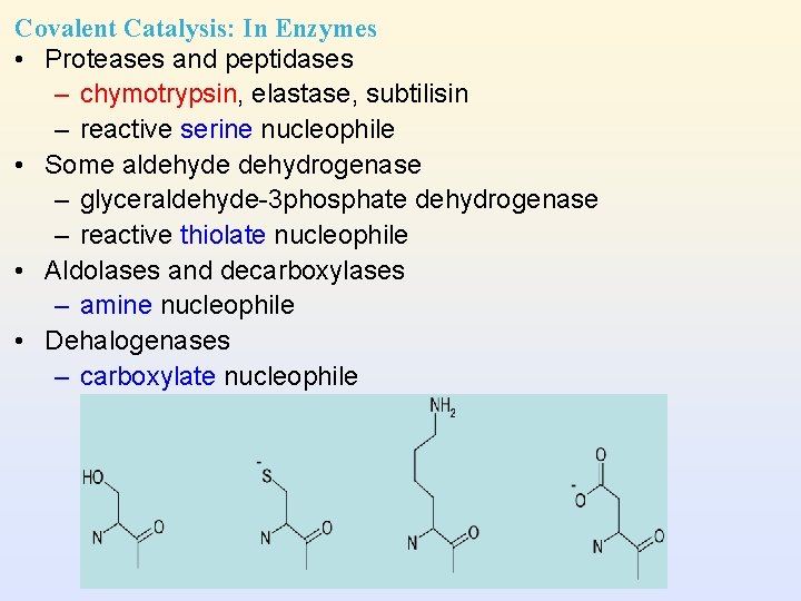 Covalent Catalysis: In Enzymes • Proteases and peptidases – chymotrypsin, elastase, subtilisin – reactive