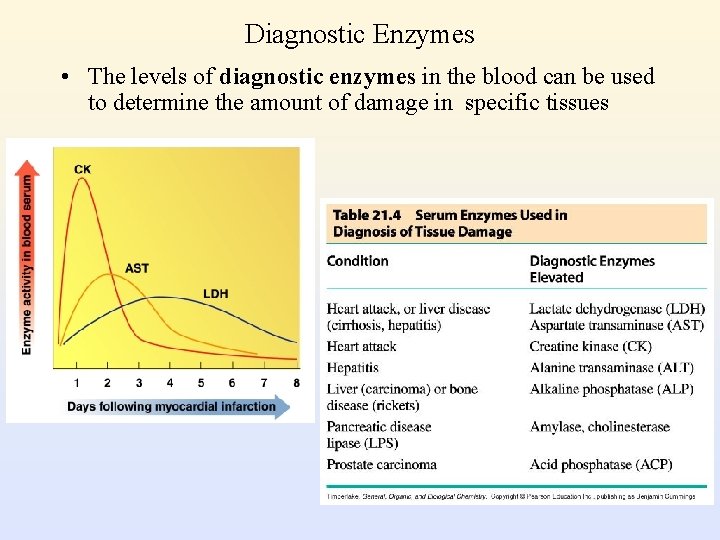 Diagnostic Enzymes • The levels of diagnostic enzymes in the blood can be used