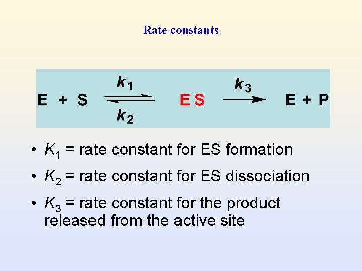 Rate constants • K 1 = rate constant for ES formation • K 2