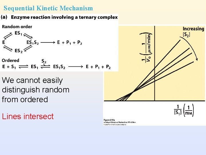 Sequential Kinetic Mechanism We cannot easily distinguish random from ordered Lines intersect 