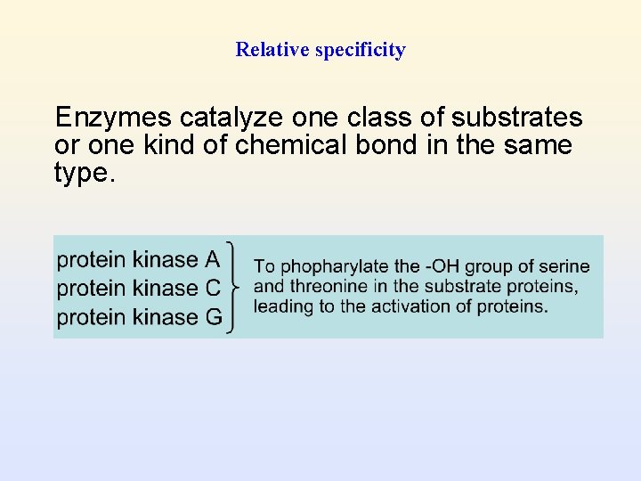 Relative specificity Enzymes catalyze one class of substrates or one kind of chemical bond