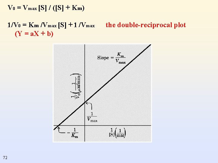 V 0 = Vmax [S] / ([S] + Km) 1/V 0 = Km /Vmax