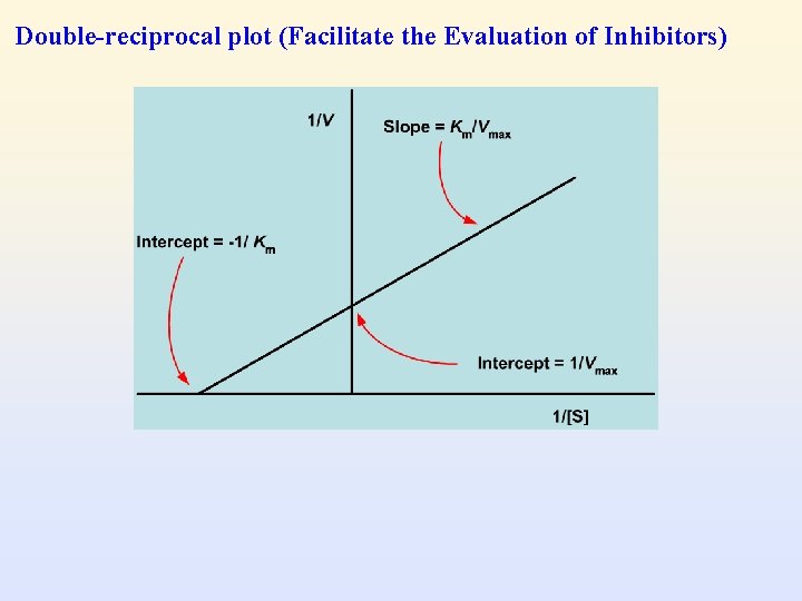 Double-reciprocal plot (Facilitate the Evaluation of Inhibitors) 