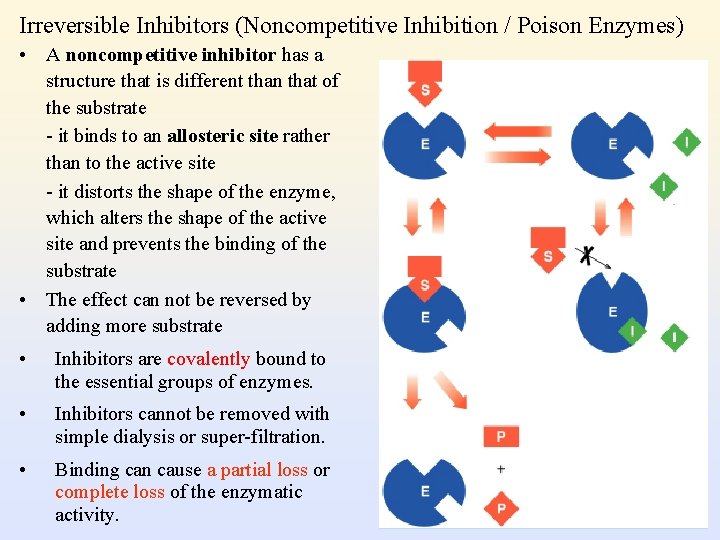 Irreversible Inhibitors (Noncompetitive Inhibition / Poison Enzymes) • A noncompetitive inhibitor has a structure