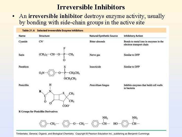 Irreversible Inhibitors • An irreversible inhibitor destroys enzyme activity, usually by bonding with side-chain