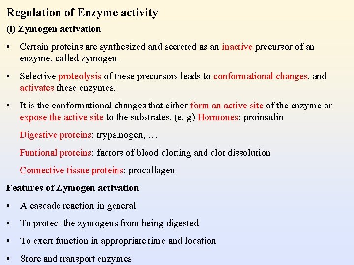 Regulation of Enzyme activity (i) Zymogen activation • Certain proteins are synthesized and secreted