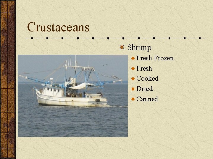 Crustaceans Shrimp Fresh Frozen Fresh Cooked Dried Canned Crustaceans Shrimp Fresh Frozen Fresh Cooked Dried Canned