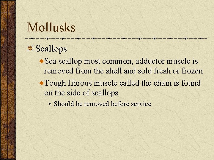 Mollusks Scallops Sea scallop most common, adductor muscle is removed from the shell and Mollusks Scallops Sea scallop most common, adductor muscle is removed from the shell and