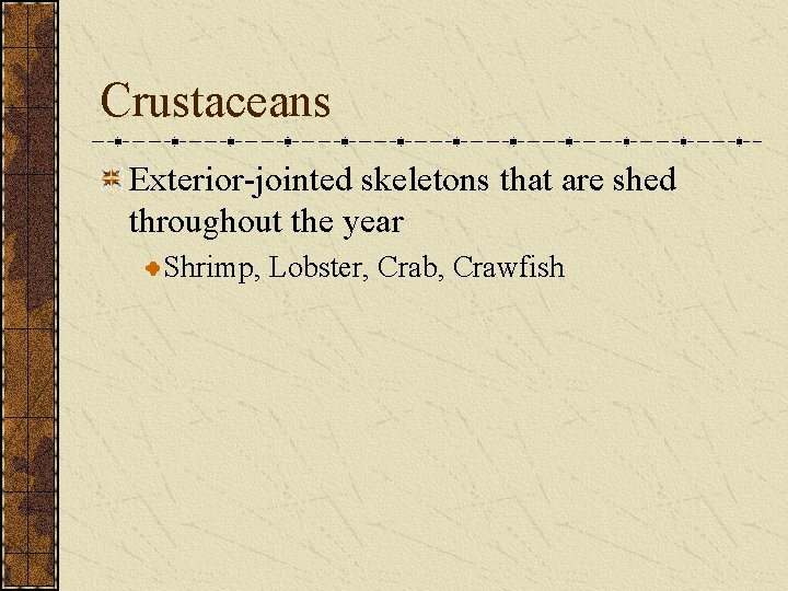 Crustaceans Exterior-jointed skeletons that are shed throughout the year Shrimp, Lobster, Crab, Crawfish Crustaceans Exterior-jointed skeletons that are shed throughout the year Shrimp, Lobster, Crab, Crawfish