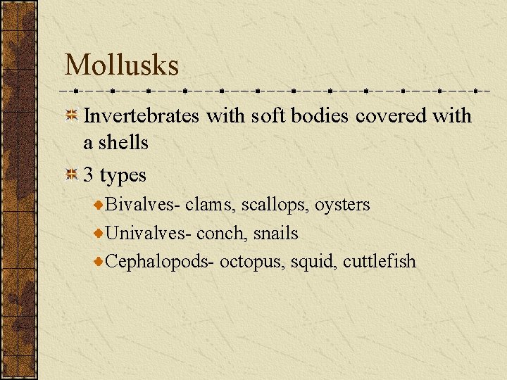 Mollusks Invertebrates with soft bodies covered with a shells 3 types Bivalves- clams, scallops, Mollusks Invertebrates with soft bodies covered with a shells 3 types Bivalves- clams, scallops,