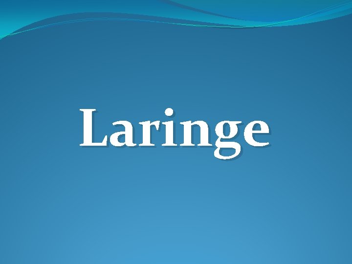 Laringe Laringe