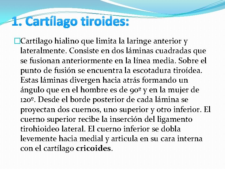 1. Cartílago tiroides: �Cartílago hialino que limita la laringe anterior y lateralmente. Consiste en 1. Cartílago tiroides: �Cartílago hialino que limita la laringe anterior y lateralmente. Consiste en
