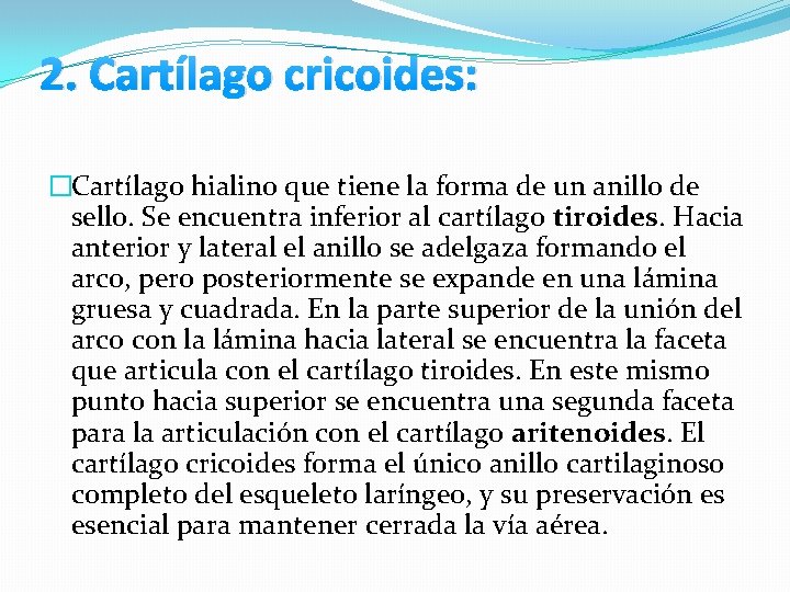 2. Cartílago cricoides: �Cartílago hialino que tiene la forma de un anillo de sello. 2. Cartílago cricoides: �Cartílago hialino que tiene la forma de un anillo de sello.