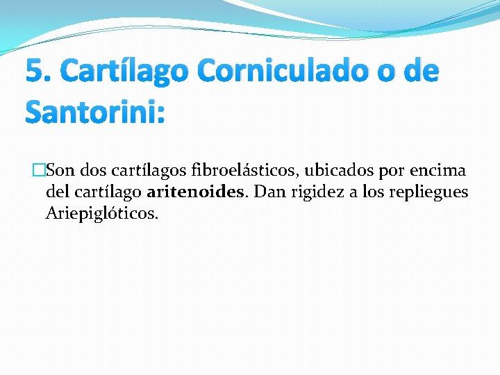 5. Cartílago Corniculado o de Santorini: �Son dos cartílagos fibroelásticos, ubicados por encima del 5. Cartílago Corniculado o de Santorini: �Son dos cartílagos fibroelásticos, ubicados por encima del